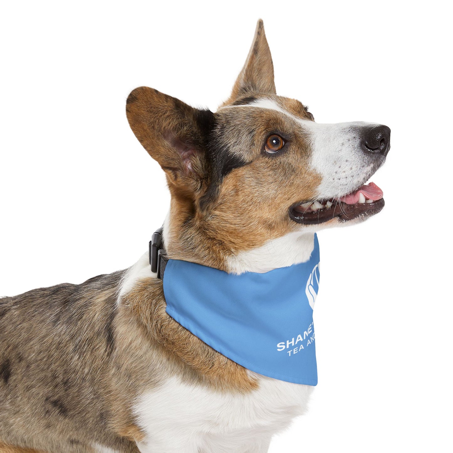 Shane's Pet Bandana Collar