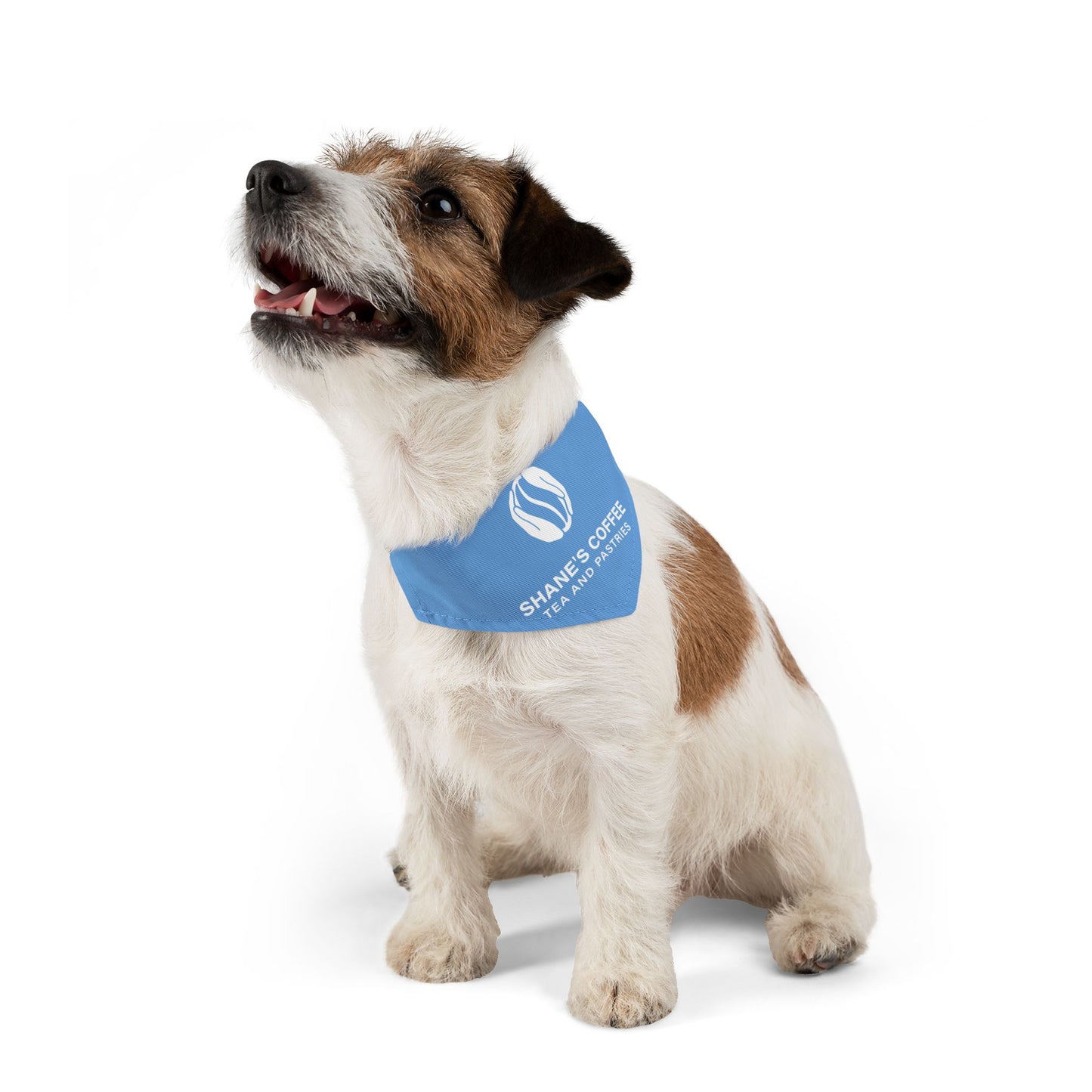 Shane's Pet Bandana Collar