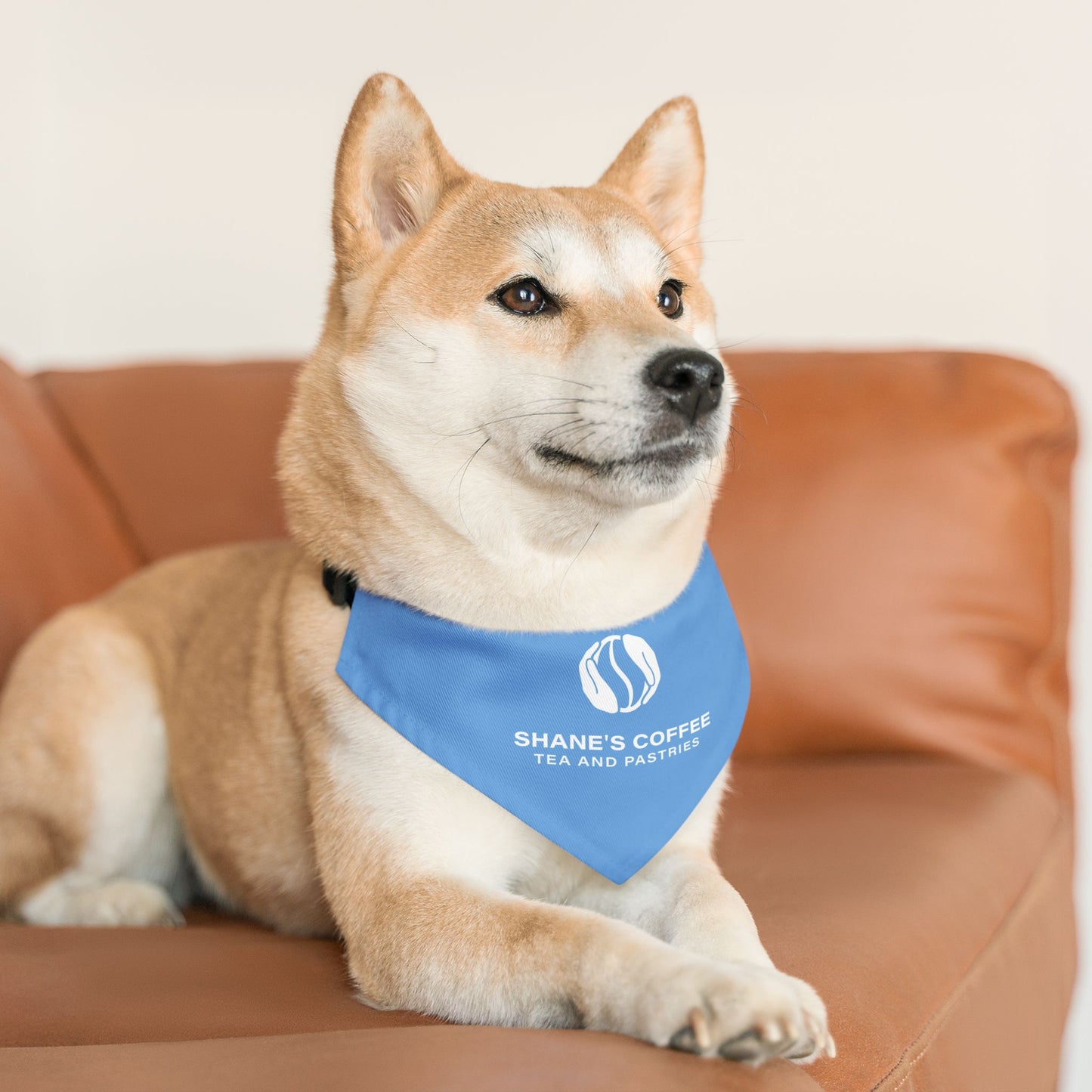 Shane's Pet Bandana Collar