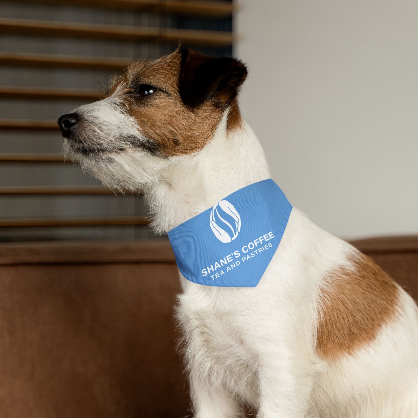 Shane's Pet Bandana Collar