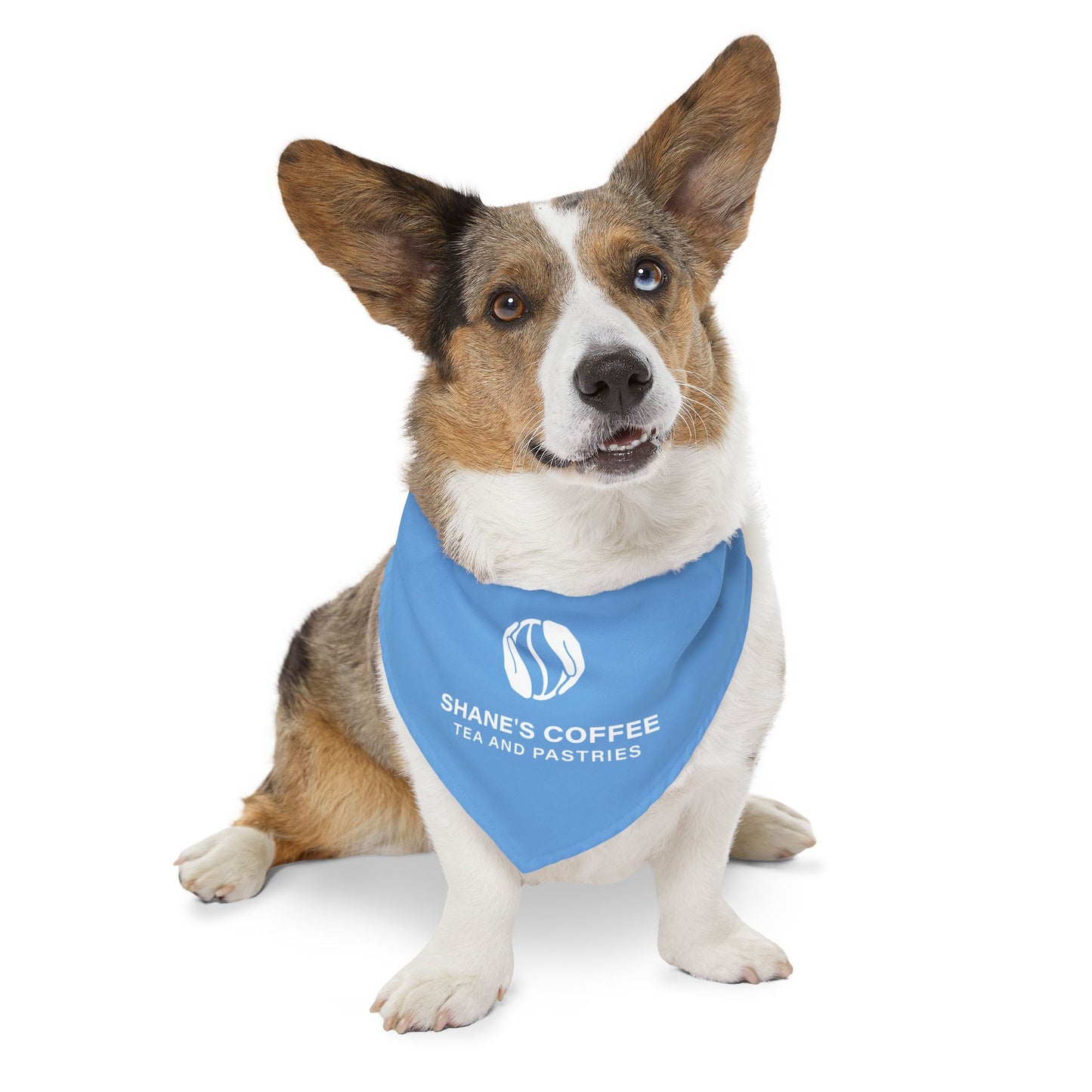 Shane's Pet Bandana Collar
